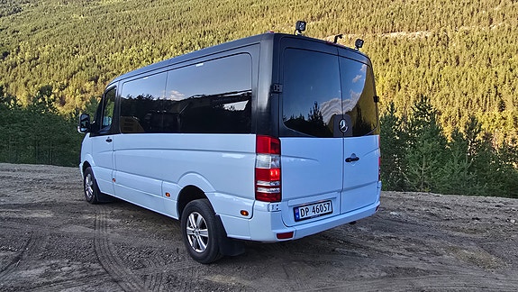 Mercedes-Benz Sprinter 316 3 of 30