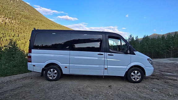 Mercedes-Benz Sprinter 316 6 of 30
