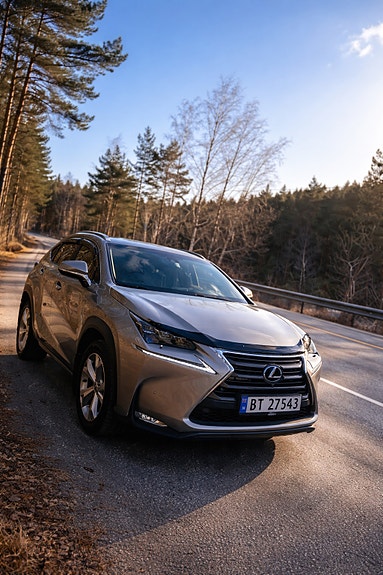 Lexus NX300h 13 of 30