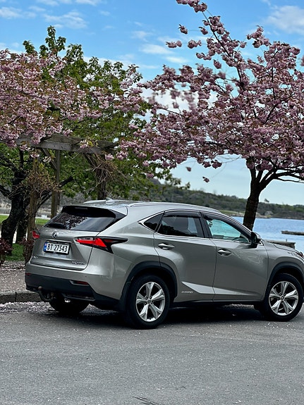 Lexus NX300h 5 of 30