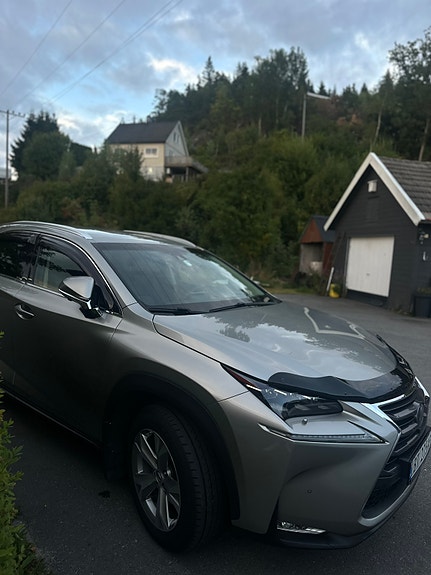 Lexus NX300h 12 of 30