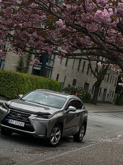 Lexus NX300h 4 of 30
