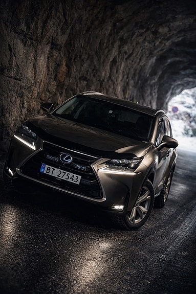 Lexus NX300h 14 of 30