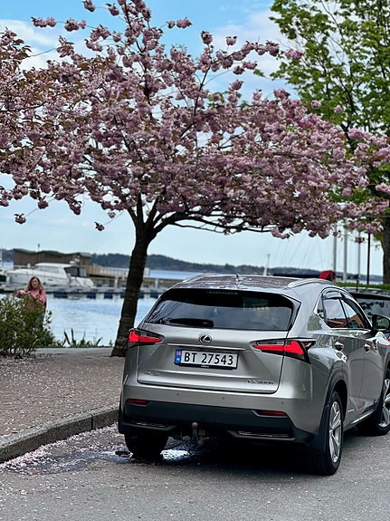 Lexus NX300h 6 of 30