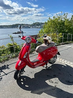 Vespa Primavera 50