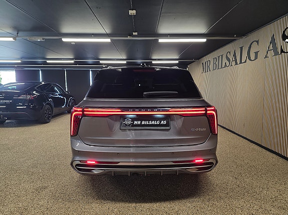 Hongqi E-HS9 12 of 30