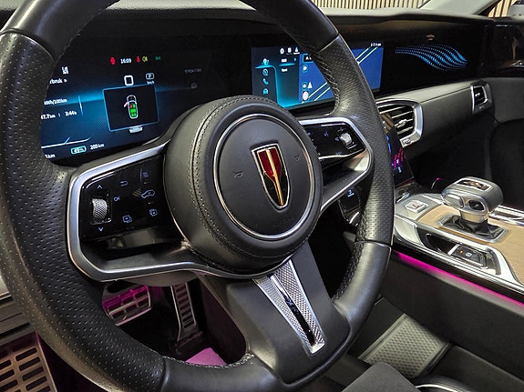 Hongqi E-HS9 21 of 30