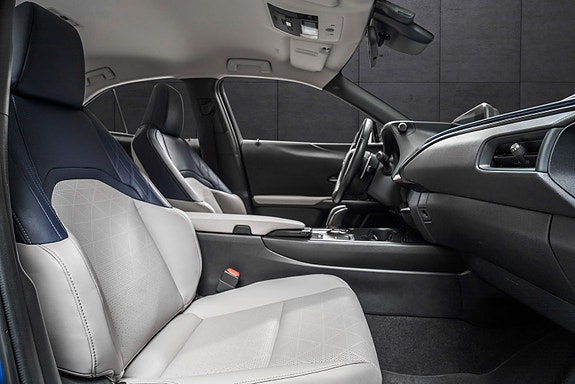 Lexus UX300e 12 of 24