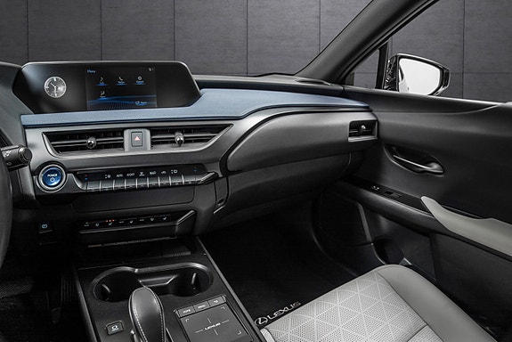 Lexus UX300e 18 of 24
