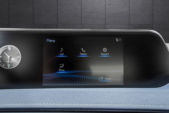 Lexus UX300e 19 of 24