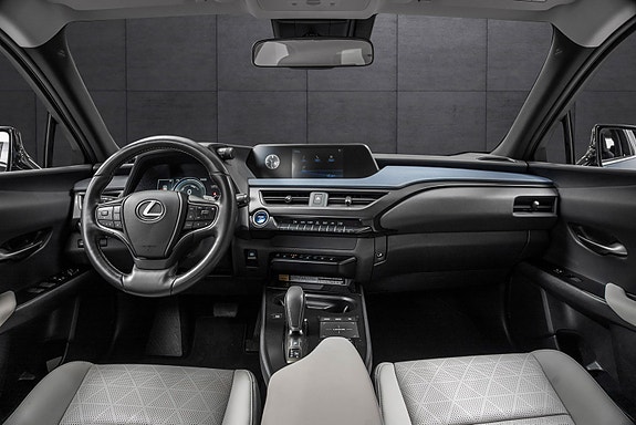 Lexus UX300e 13 of 24