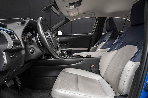 Lexus UX300e 9 of 24