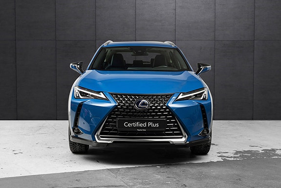 Lexus UX300e 8 of 24