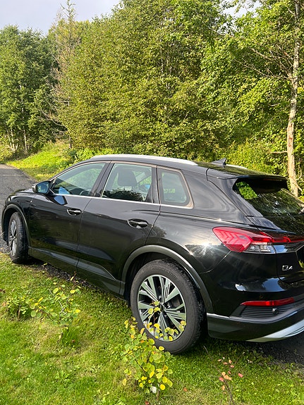 Audi Q4 e-tron 16 of 17