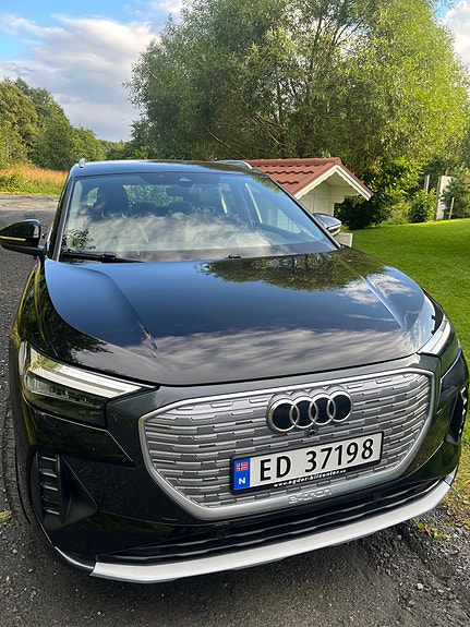Audi Q4 e-tron 5 of 17