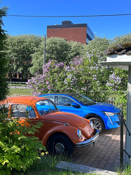 Volkswagen Beetle 2 of 5