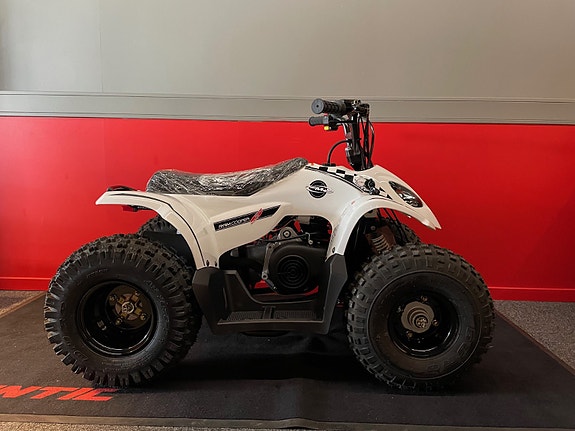 SMC Buzz Maxi 85cc 2-Takter. Supertilbud! På lager nå! 10 of 13
