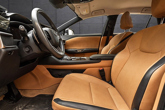 Lexus RZ450e 10 of 26