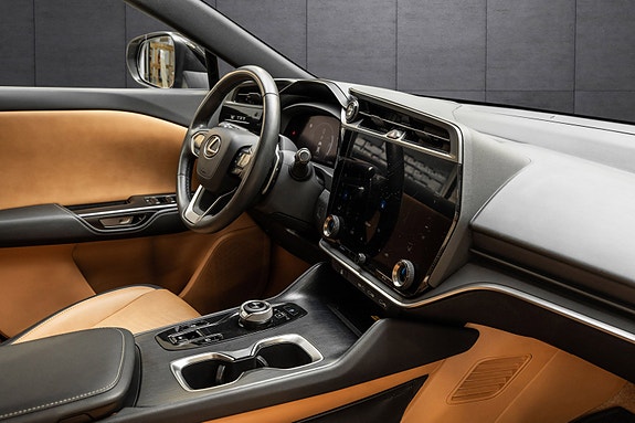 Lexus RZ450e 24 of 26