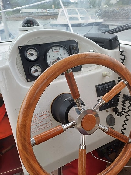 Quicksilver Arvor 215 7 of 22