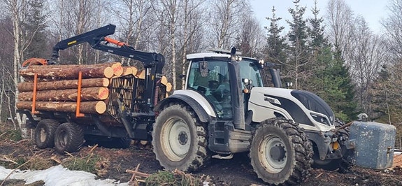BMF 18T1 pro tonns tømmerhenger med 800 HD kran 5 of 13
