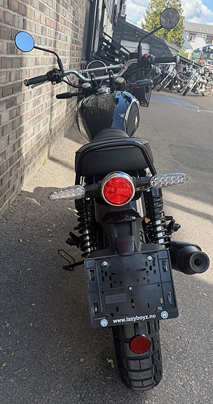 Royal Enfield Bear 650 11 of 13