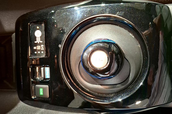 Nissan Leaf 13 of 24
