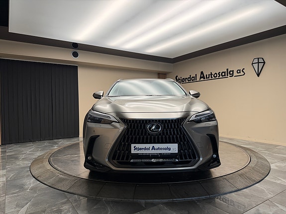 Lexus NX450h 8 of 30