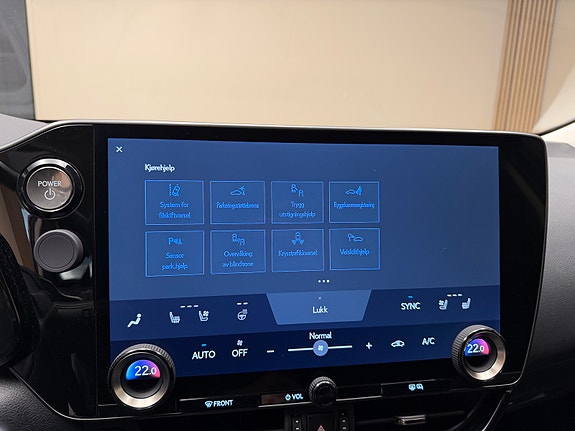 Lexus NX450h 29 of 30