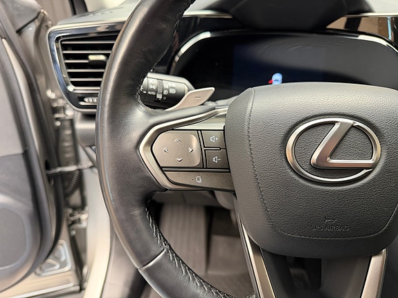 Lexus NX450h 19 of 30