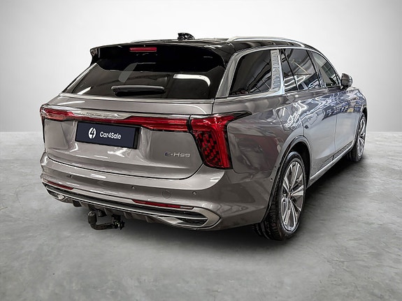 Hongqi E-HS9 5 of 30