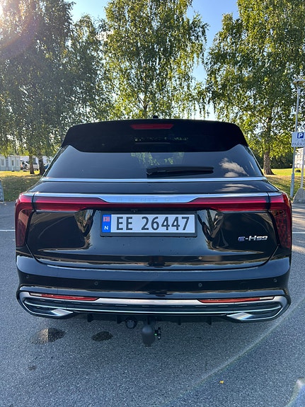 Hongqi E-HS9 28 of 30