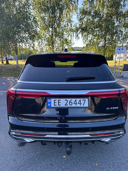 Hongqi E-HS9 5 of 30