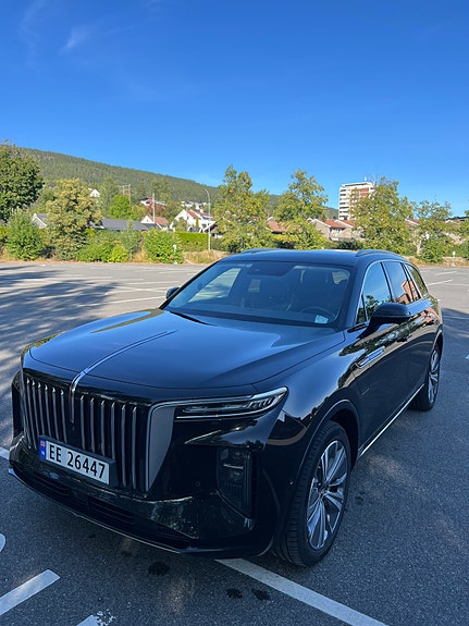 Hongqi E-HS9 10 of 30
