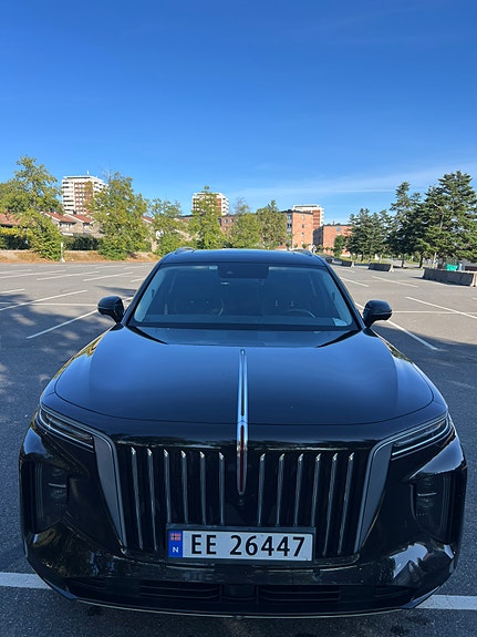 Hongqi E-HS9 9 of 30