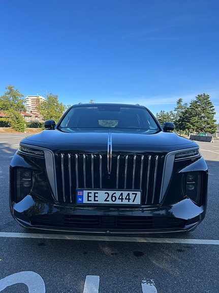 Hongqi E-HS9 8 of 30