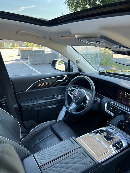 Hongqi E-HS9 24 of 30