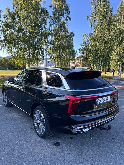 Hongqi E-HS9 4 of 30