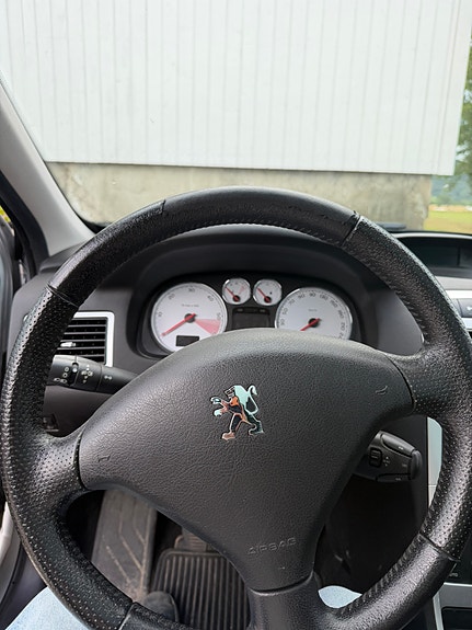 Peugeot 307 SW 5 of 13