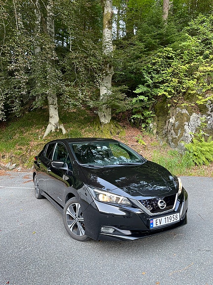 Nissan Leaf 2 of 22
