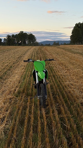 Kawasaki 3 of 12