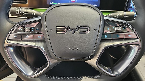 BYD Sealion 7 19 of 30