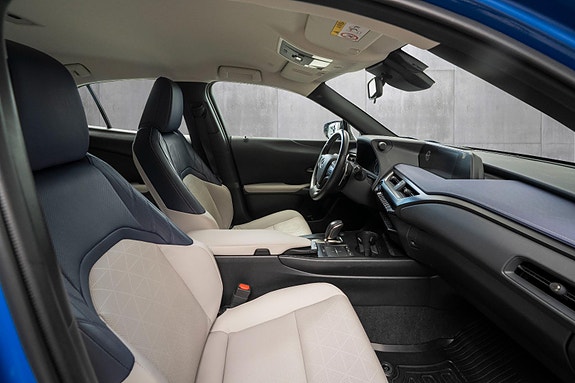Lexus UX300e 22 of 24