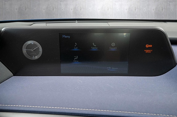 Lexus UX300e 15 of 24