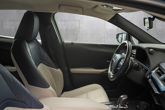 Lexus UX300e 23 of 24