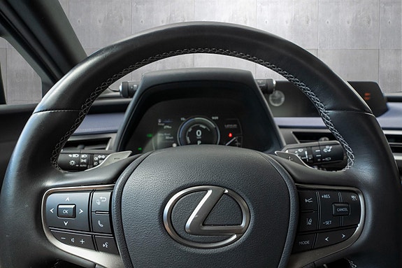 Lexus UX300e 13 of 24