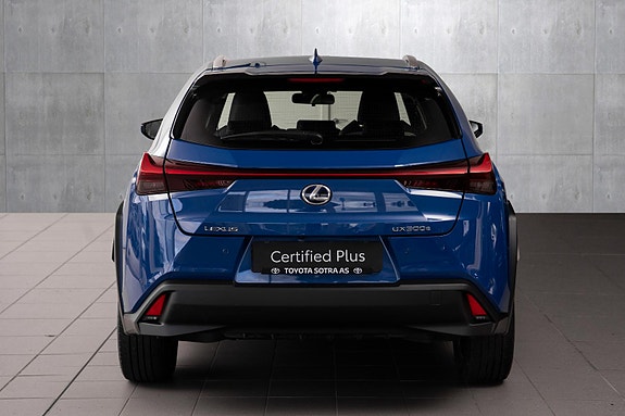 Lexus UX300e 6 of 24