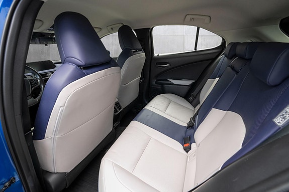 Lexus UX300e 19 of 24