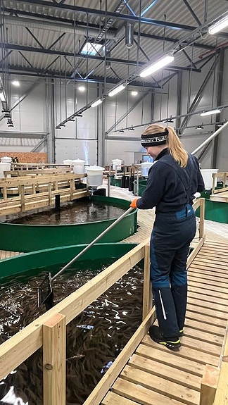 Bilde 2 av 5 i jobbannonse-galleriet