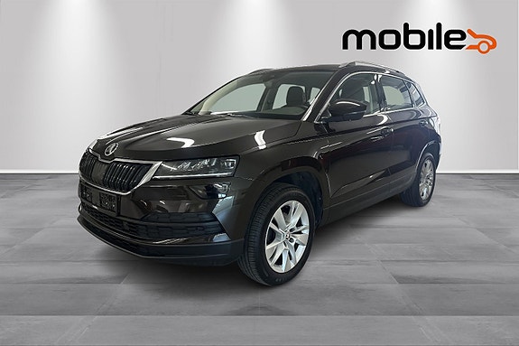 Skoda Karoq 19 of 24